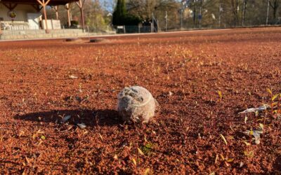Tennis-Saison beginnt