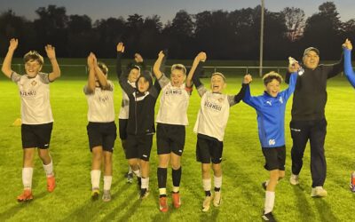 D-Jugend holt Meisterschaft