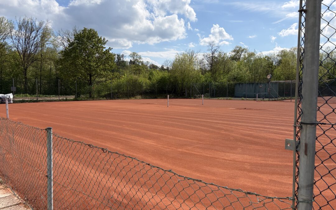 WSF-Tennis wird um Sportart Padel erweitert