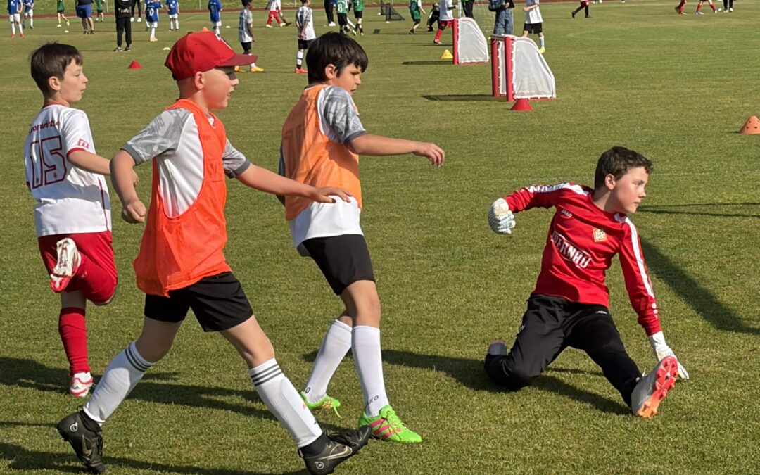 Sonniger Fußballtag im Stadion