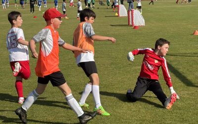 Sonniger Fußballtag im Stadion
