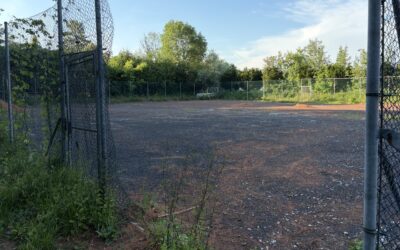 Gemeinderat vertagt WSF-Antrag zu Kunstrasenplatz